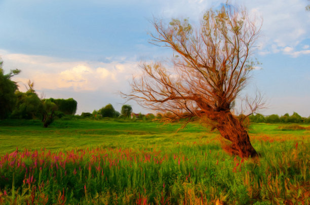石油山水画图片下载