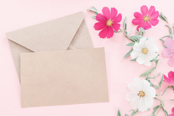 夏天的花组成。浅粉色背景上的科斯美花。图片下载