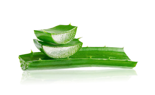 芦荟叶子在白色的背景。身体护理的概念图片下载