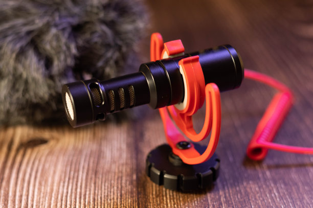 小黑色定向麦克风与补充图片下载