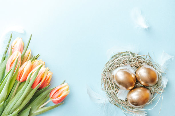 金色的鸡蛋与春天的郁金香，白色的羽毛在柔和的蓝色背景装饰复活节。极简箔蛋设计，现代俯视图设计。图片下载