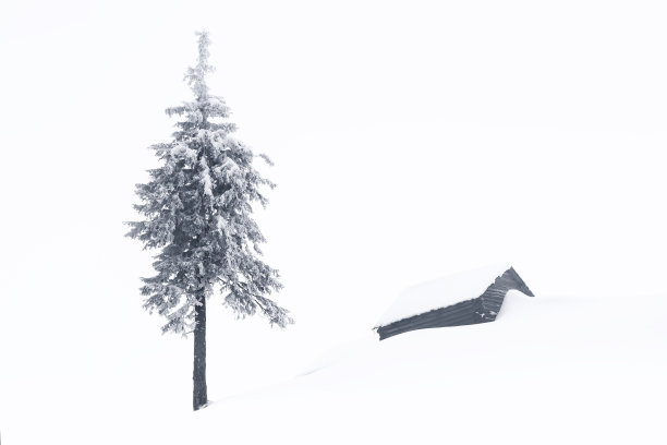 冬季简约的景观。覆盖着积雪的草坪上的旧木屋。松树在雪堆里。下雪的背景。位置:欧洲，乌克兰，喀尔巴阡。图片下载