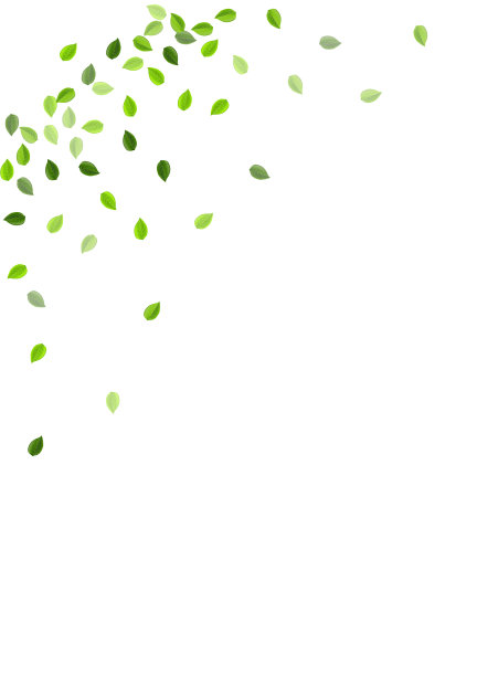 绿草茶设计森林叶图片下载