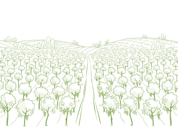 酒标背景田路葡萄园图片下载