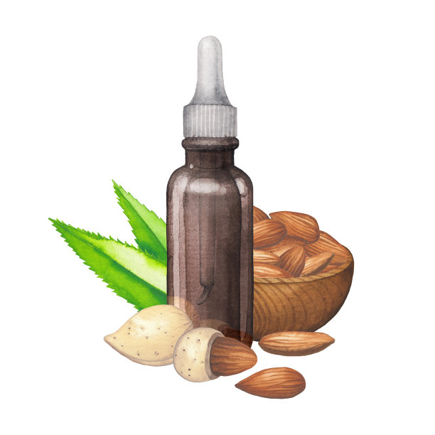 水彩玻璃瓶的精油装饰与杏仁坚果和树叶图片下载