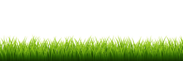 绿草边框设置在白色背景上。矢量图图片下载