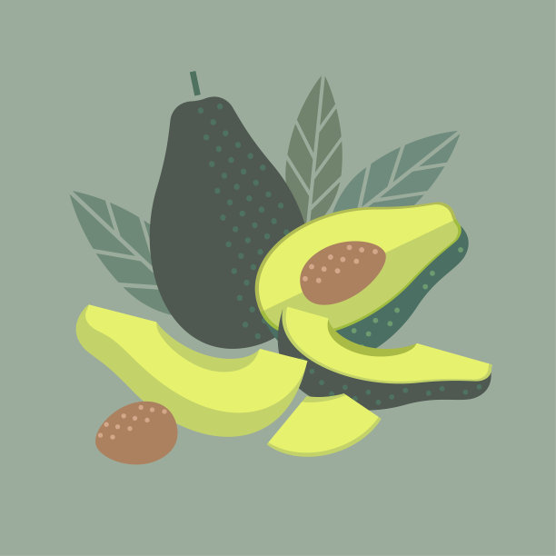 牛油果插图的海报或包装。图片下载