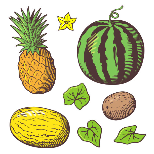 一套异国情调的热带水果与叶和花图片下载