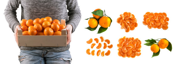 农夫在木盒子里装着新鲜的橘子图片下载