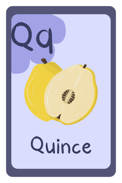 彩色abc教育闪存卡，字母Q - quince。字母矢量插图与食物，水果和蔬菜。学校、学习、学习的理念。图片下载
