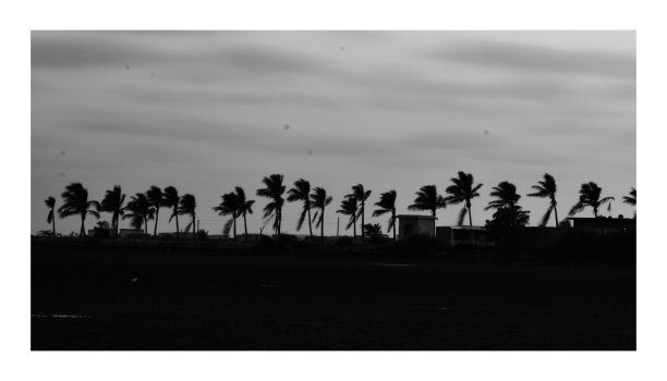 黑色和白色图片下载