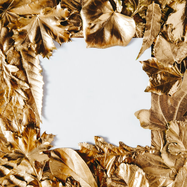 白色卡片与框架的金色树叶图片下载