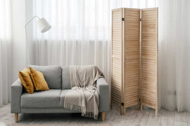 舒适的客厅与现代室内设计图片下载