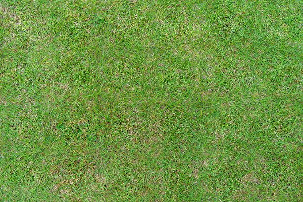 草图案纹理为背景。图片下载