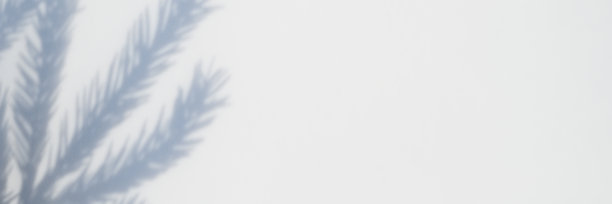 模糊的照片，一个影子从一个圣诞节树枝上的白灰色背景墙或桌子。横幅图片下载