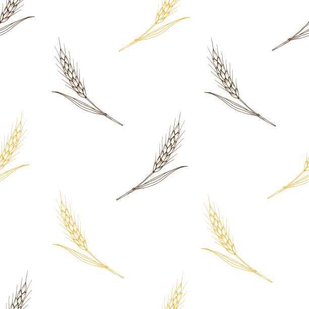 简单的矢量无缝模式。白色背景下的金黄色麦穗。用于面制品、谷物、烘焙食品、面包的包装设计。图片下载
