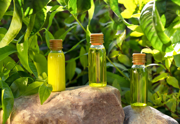 化妆品展示在绿色的叶子和天然的石头背景。天然化妆品和美容理念。化妆品旗帜设计。图片下载