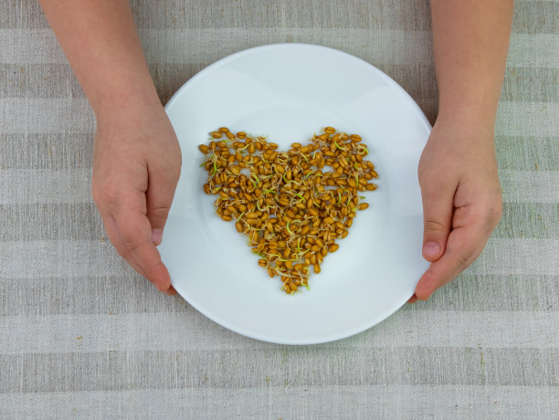 发芽的小麦在孩子的手中亚麻背景。健康食品豆芽素餐。健康饮食的概念。图片下载