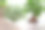窗户上的白色花盆里种着绿色的室内植物，如仙人、仙人、人参等图片下载