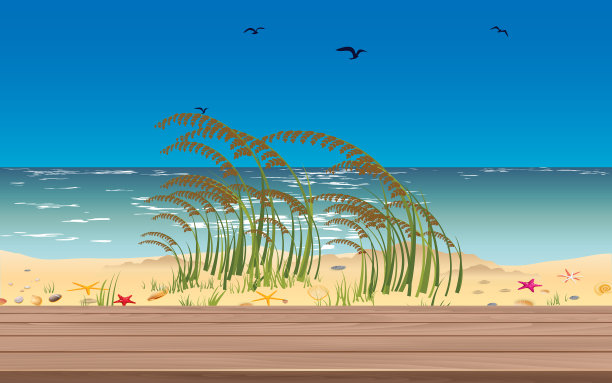 白天海滩上的空白木桌图片下载