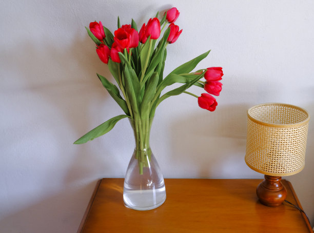 玻璃花瓶里插着红色郁金香，白色墙壁上的木制马桶上挂着稻草灯。室内设计。家居装饰图片下载