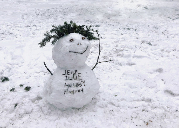 做一个雪人图片下载