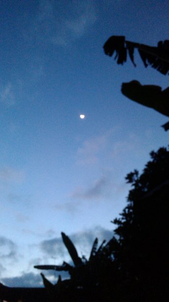 月亮在早上图片下载