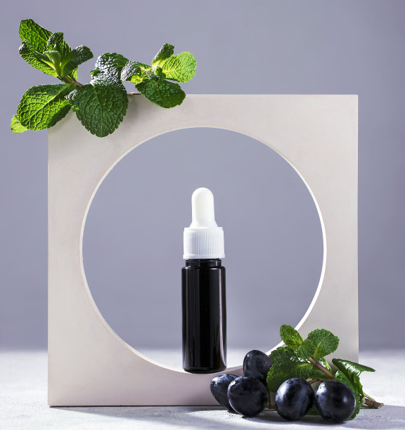 葡萄籽、薄荷油、新鲜黑葡萄图片下载