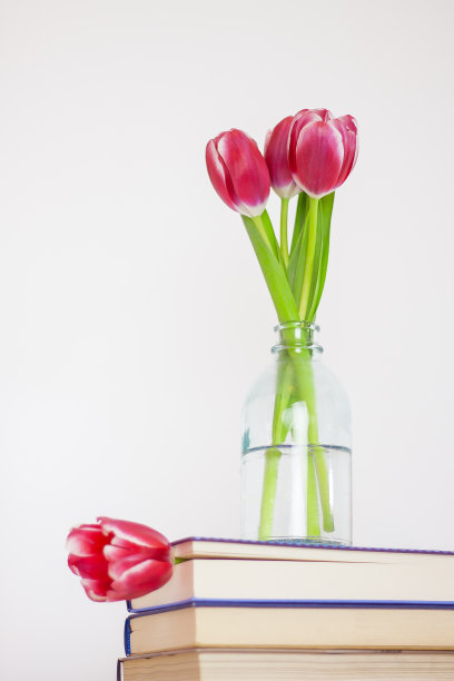 一花瓶花放在书上图片下载