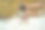 小狗正在被清洗。在浴室里给狗梳洗。约克郡犬的主人。照顾你的宠物。图片下载