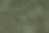 绿色背景基于低光下的松树枝。抽象结构图片下载