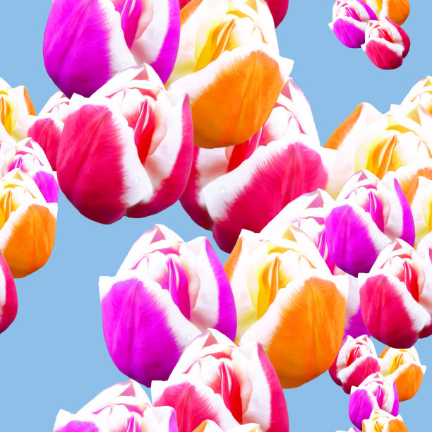 郁金香。插图，花的纹理。用于连续复制的无缝模式。花卉背景，照片拼贴为纺织品，棉布面料。用于墙纸、封面、印刷品。图片下载