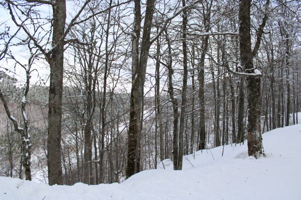 巴尔干山脉图片下载