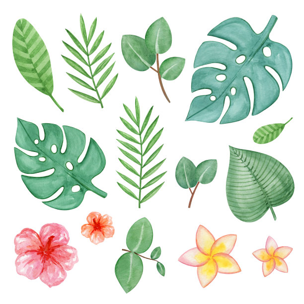 热带叶子剪纸水彩，夏天异国情调的植物集，手绘绿色热带叶子插图，夏威夷，丛林植物集，剪贴簿装饰图片下载