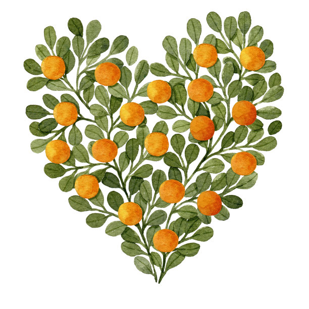 水彩绿色树枝和橘子心形贺卡模板。图片下载