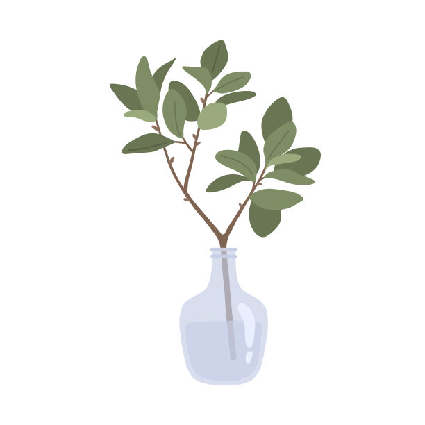 玻璃花瓶里有叶子的树枝图片下载