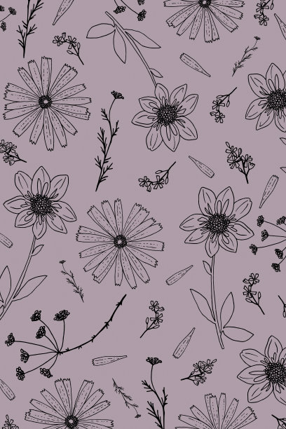 抽象的草本背景画上线条。黑色和紫色的野花和草本植物。图片下载