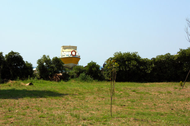 在托斯卡纳靠近海滩和海水的地方，在天空和绿色草地之间的地平线上的绿树上有一条小船图片下载