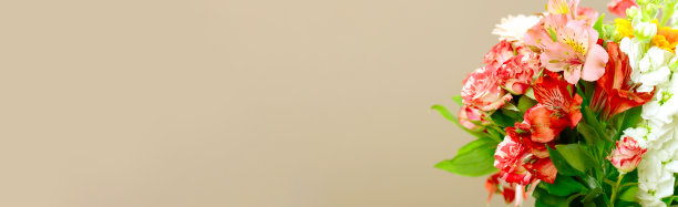 美丽的花朵图片下载