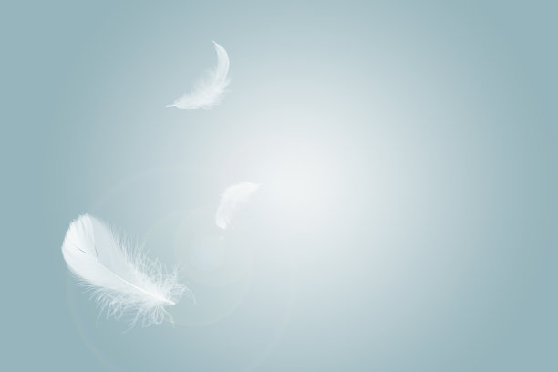 柔软而轻盈的羽毛漂浮在天空中。图片下载