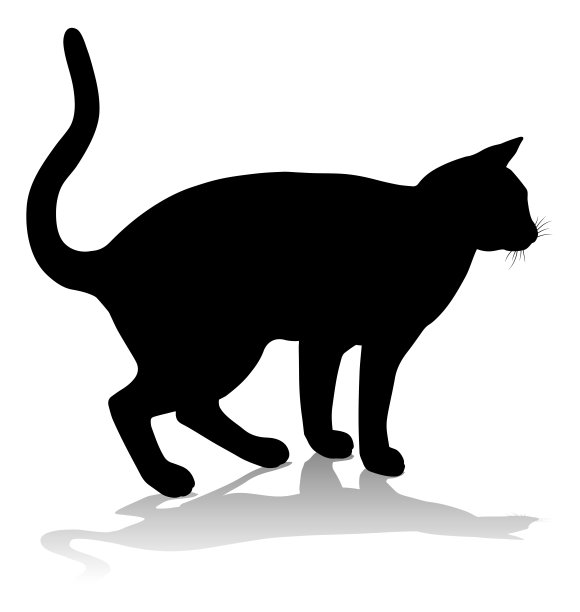 剪影猫及宠物图片下载