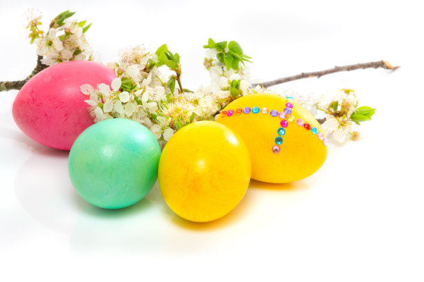 白色背景上的复活节彩蛋和花枝图片下载
