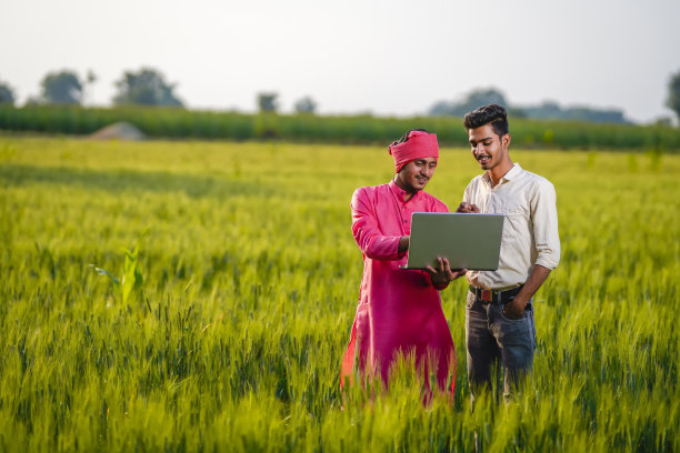 年轻的印度农学家或银行家在麦田里用笔记本电脑向农民展示一些信息图片下载