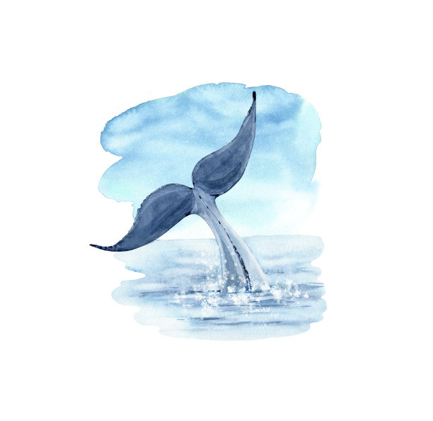 海天背景上的鲸鱼、鱼的尾巴，水彩画的海洋风格插图图片下载