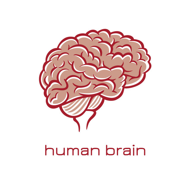 白色背景下的花朵图片下载