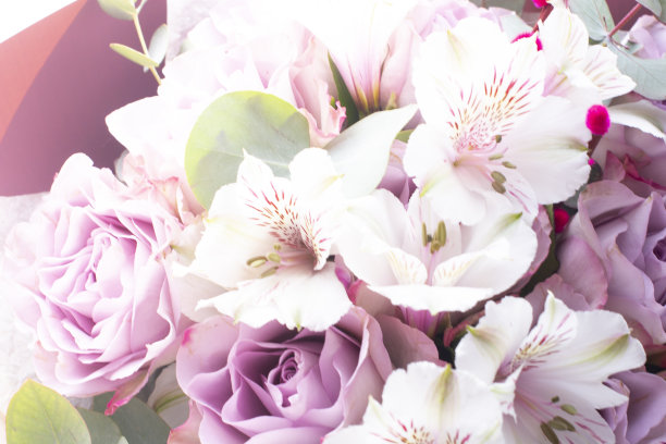 一束美丽的紫花和紫色玫瑰。新鲜，丰富多彩的花束图片下载