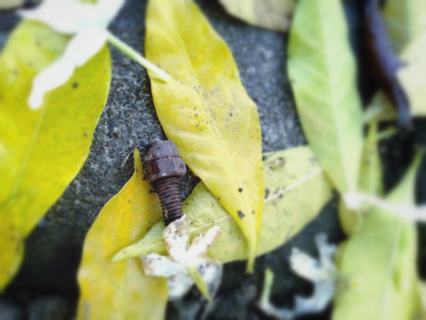 独自生锈的螺栓图片下载