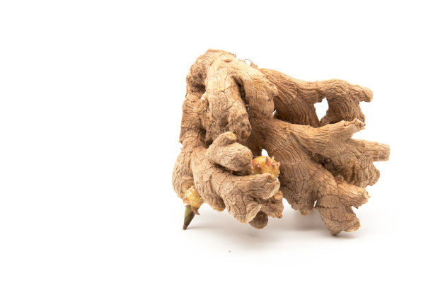 白色背景下的生姜图片下载