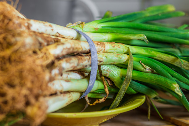 一堆calçots图片下载