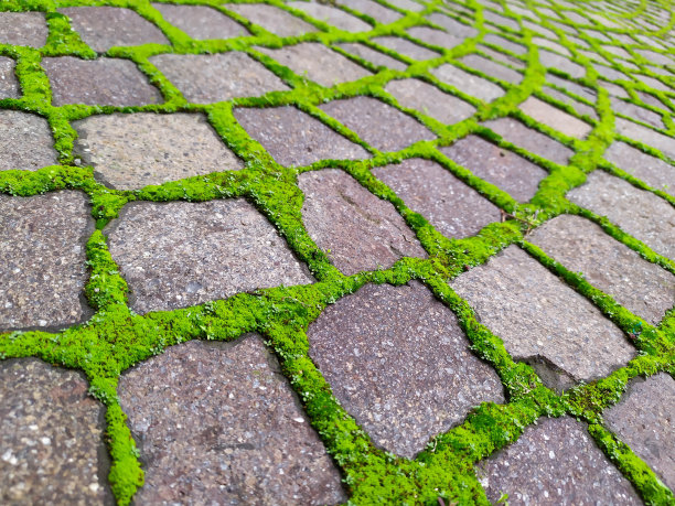 传统的意大利砖地面视图图片下载